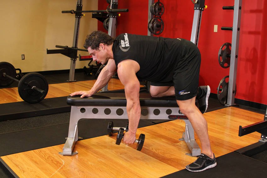 Single-Arm Dumbbell Row (Braced on Bench) — Start