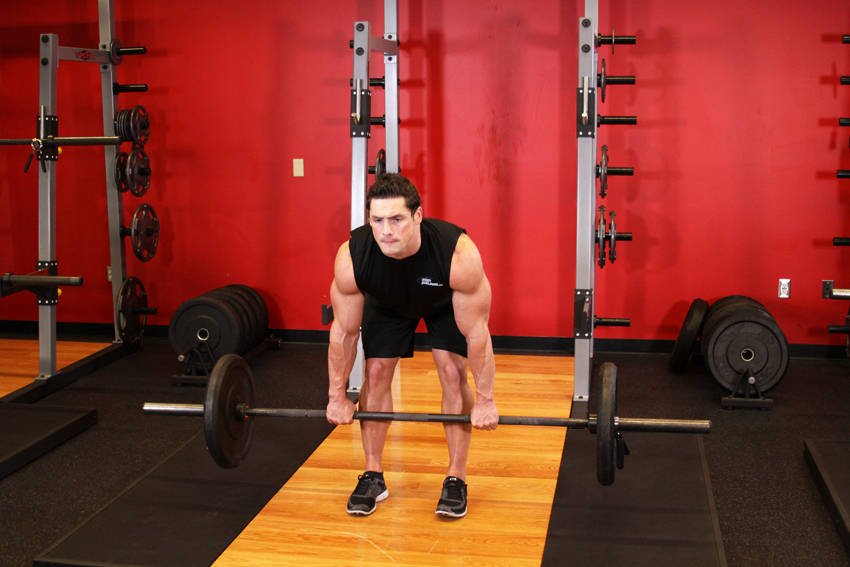 Romanian Deadlift (light-to-moderate dumbbells) — Start