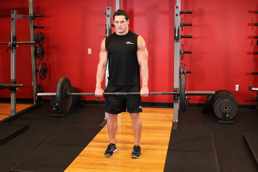 Romanian Deadlift (light-to-moderate dumbbells) — End