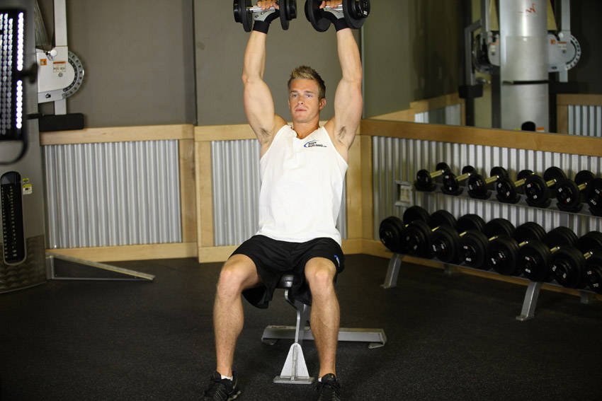 Seated Dumbbell Shoulder Press — Start