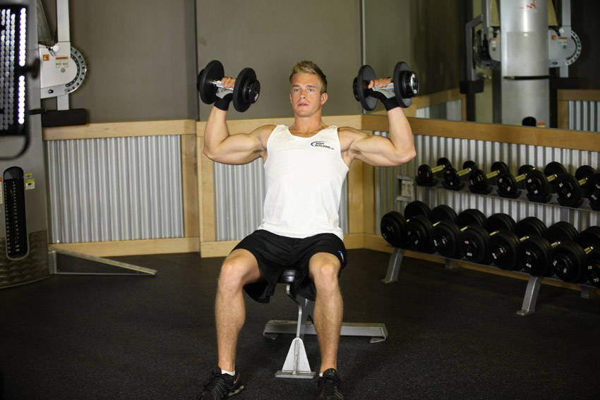 Seated Dumbbell Shoulder Press — End