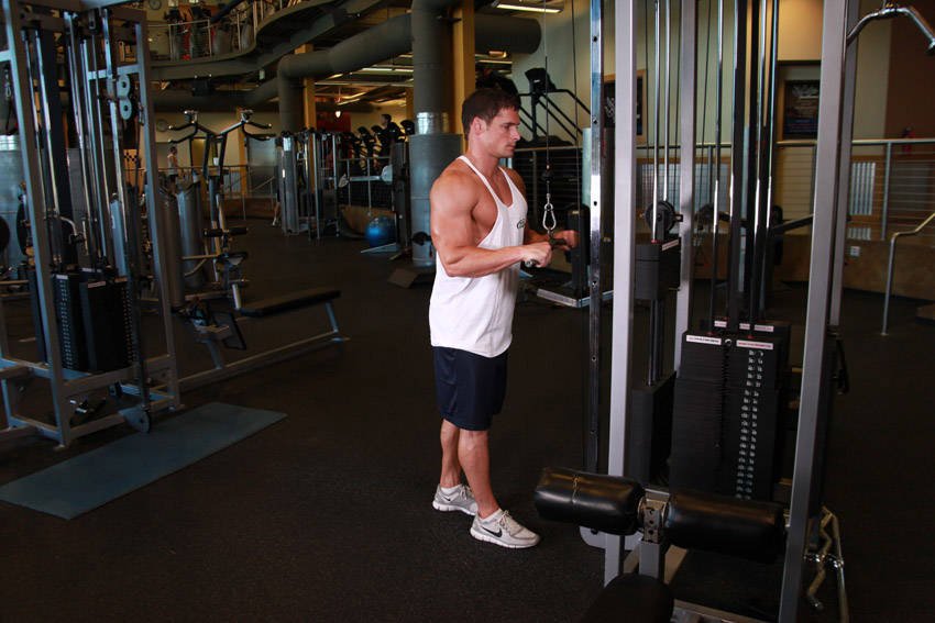 Cable Triceps Pressdown (straight bar or rope) — Start