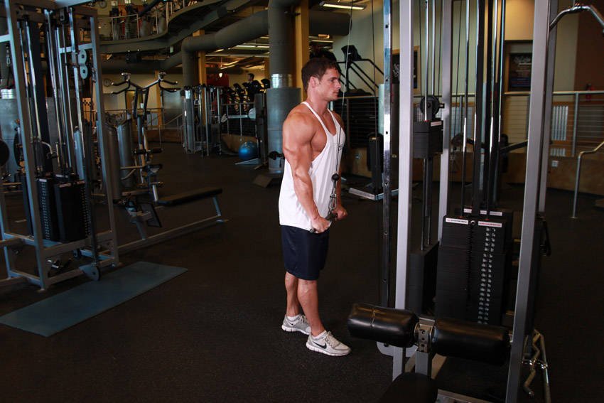 Cable Triceps Pressdown (straight bar or rope) — End